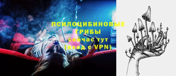 МДПВ Алексеевка