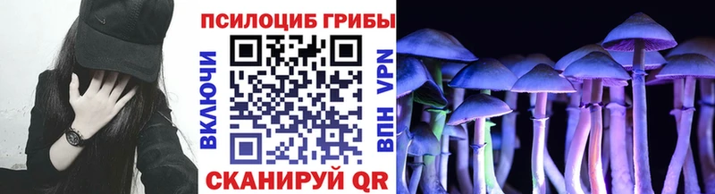 OMG ONION  Лагань  Псилоцибиновые грибы MAGIC MUSHROOMS 